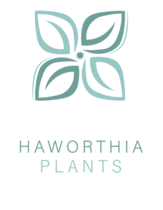 Haworthiaplants Logo